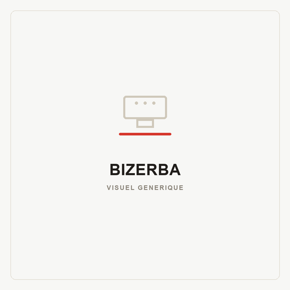 Visuel générique — Tête d'impression Bizerba, non contractuel